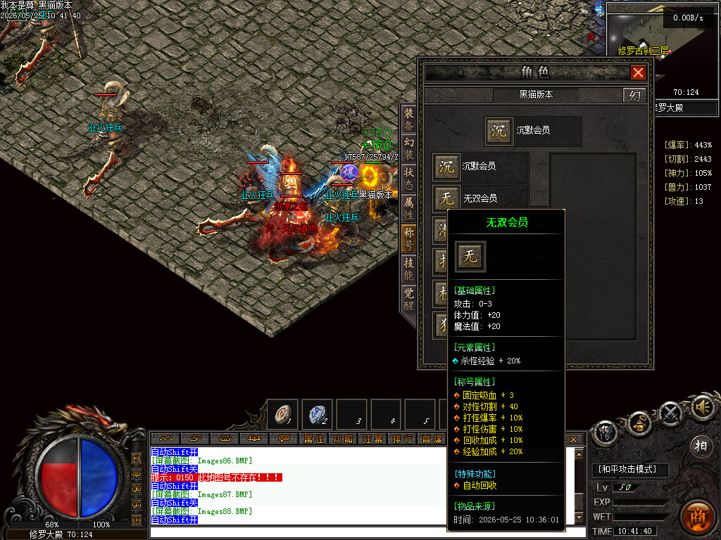 Images89.BMP