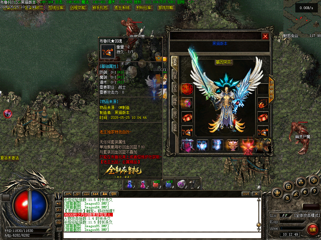 Images87.BMP