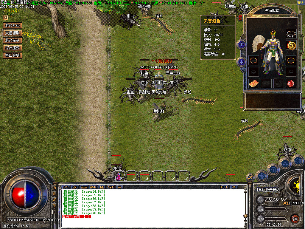Images41.BMP