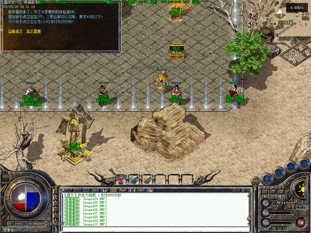 Images11.BMP
