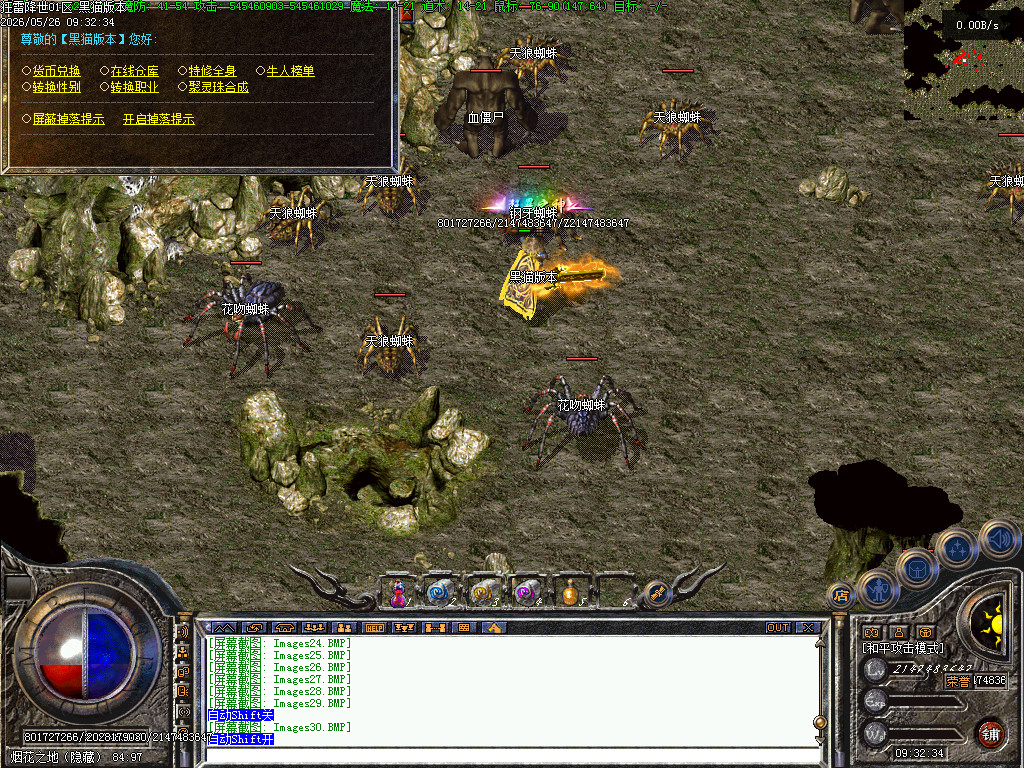 Images31.BMP