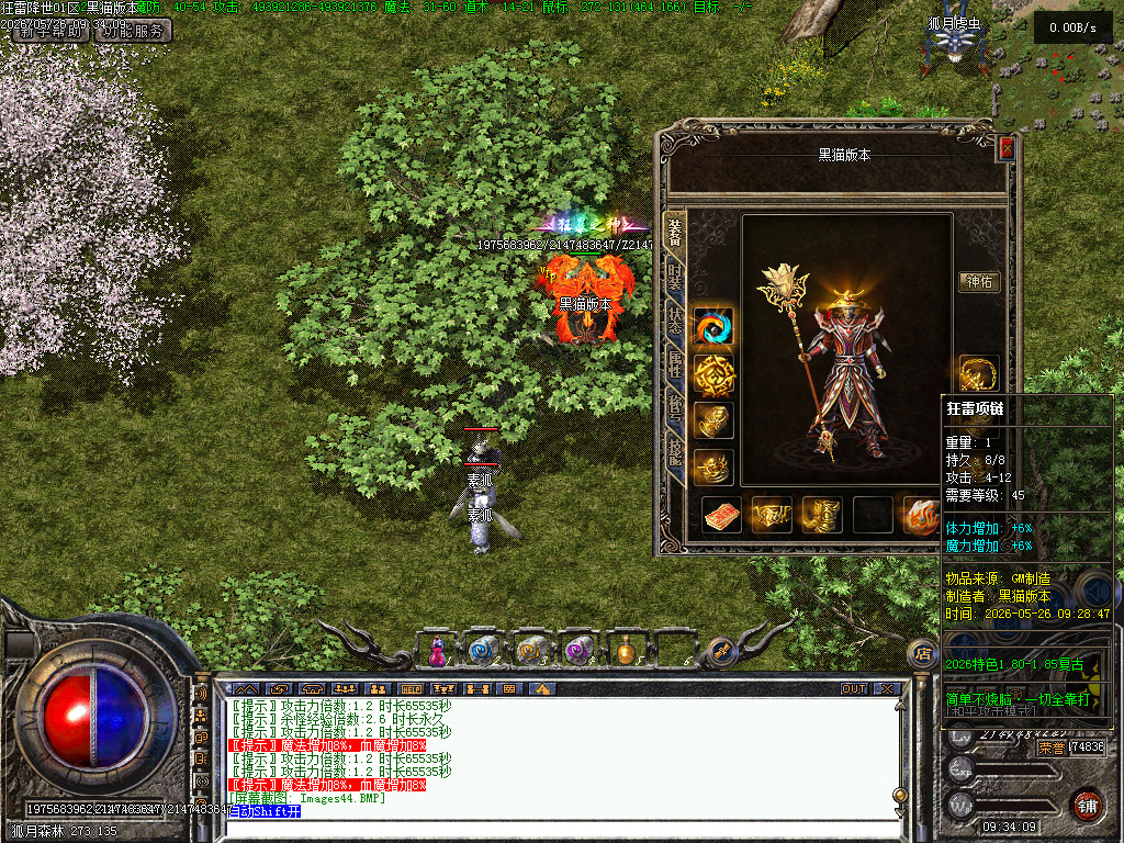 Images45.BMP