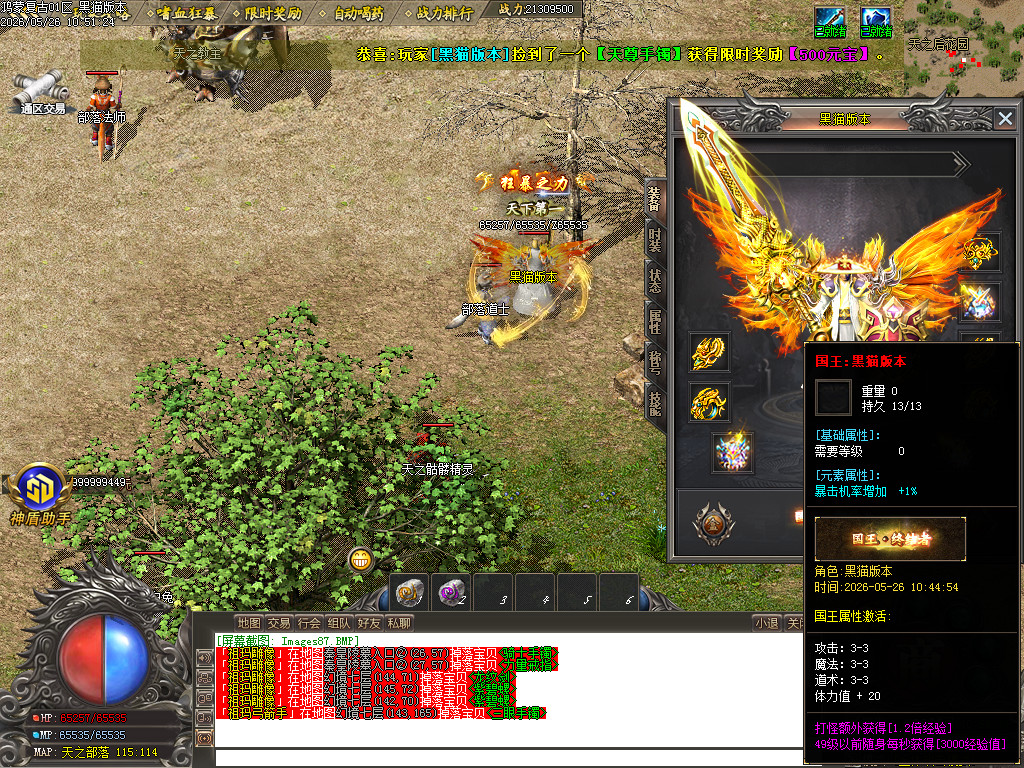 Images88.BMP