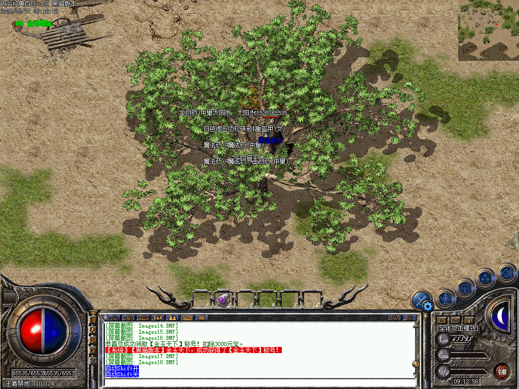 Images19.BMP