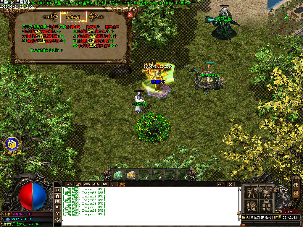 Images63.BMP
