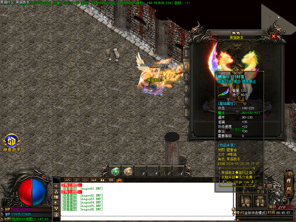 Images87.BMP
